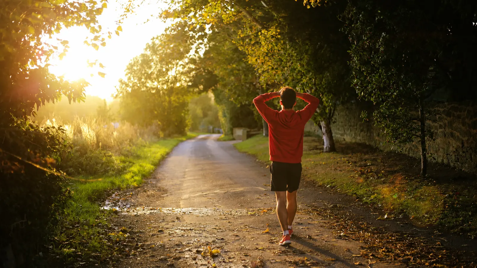 Man watching sunset peaking through forest, symbolizing the calm and recovery after massage